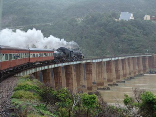 c-UWens Freedom-Day 0041