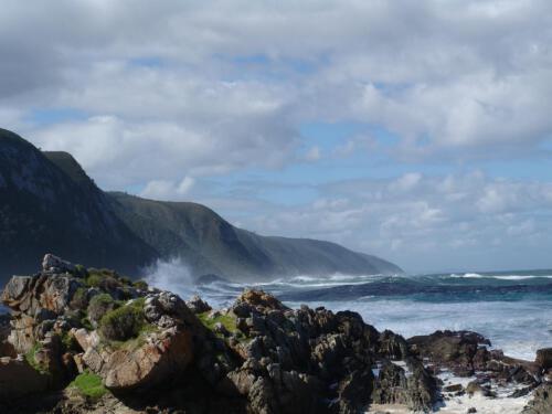 c-UWens Freedom-Day 0044