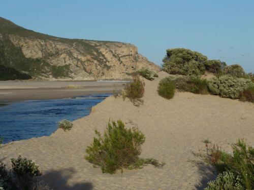 c-UWens Freedom-Day 0049