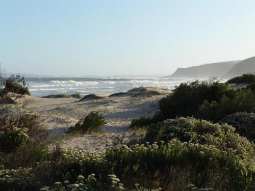 c-UWens Freedom-Day 0050