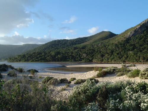 c-UWens Freedom-Day 0051