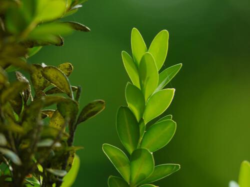 c-UWens Junibilder 14