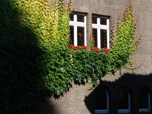 c-UWens KA¼nstlerkolonie 14e