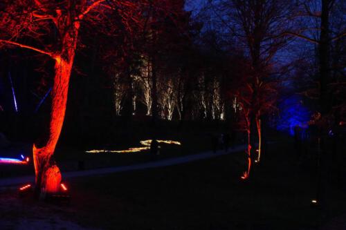 c-UWens Lichtgarten 09