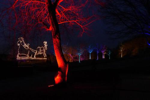 c-UWens Lichtgarten 10