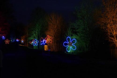 c-UWens Lichtgarten 12