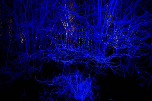 c-UWens Lichtgarten 13