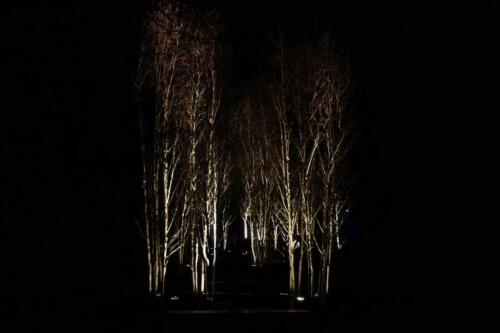 c-UWens Lichtgarten 14