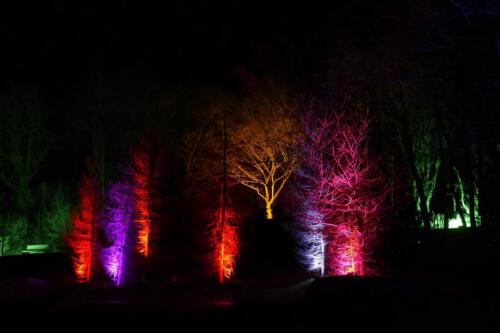 c-UWens Lichtgarten 21