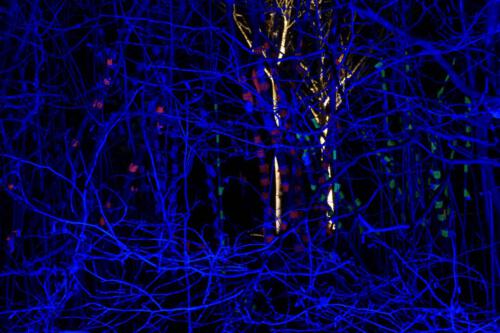 c-UWens Lichtgarten 22