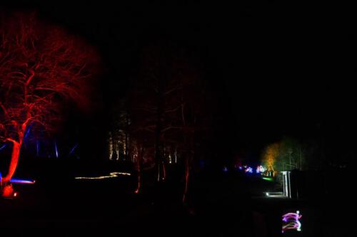 c-UWens Lichtgarten 24