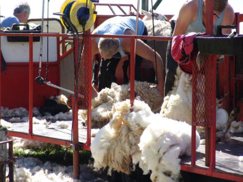 c-UWens Schottland 16