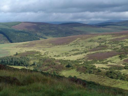 c-UWens Schottland 32