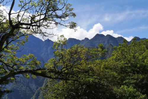 c-UWens Machu Picchu 006