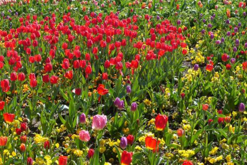 c-UWens Maximilianpark 07