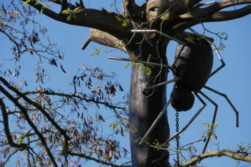 c-UWens Maximilianpark 16