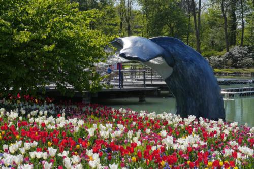 c-UWens Maximilianpark 17