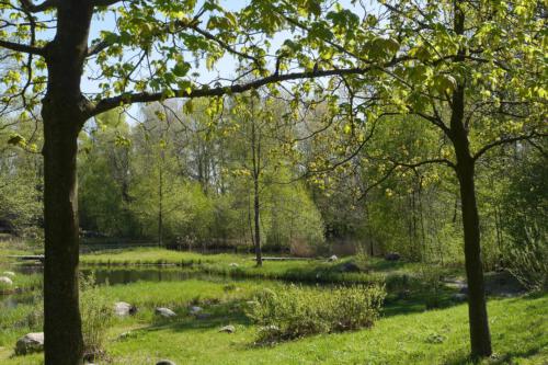 c-UWens Maximilianpark 20