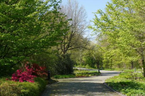 c-UWens Maximilianpark 24