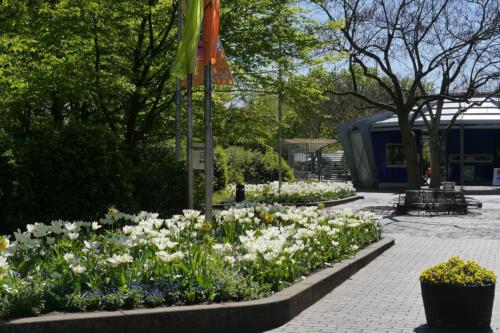 c-UWens Maximilianpark 32