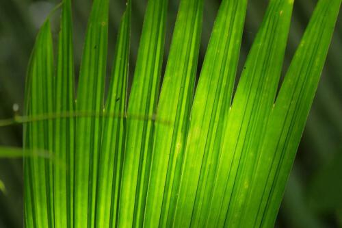 c-UWens Miksang-Verdacht 0035