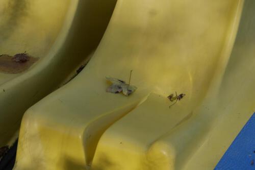 c-UWens Miksang-Verdacht 0044