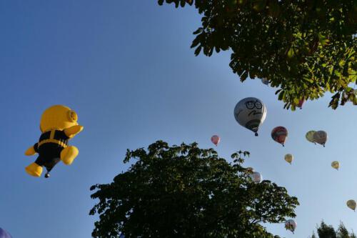 c-UWens Montgolfiade 033