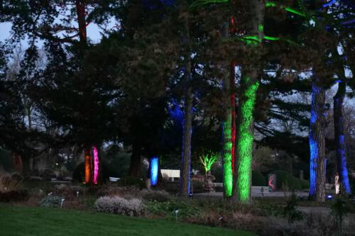 c-UWens Neues von F  H 02