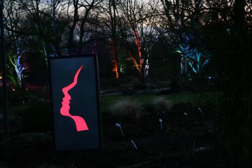 c-UWens Neues von F  H 08