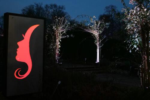 c-UWens Neues von F  H 13