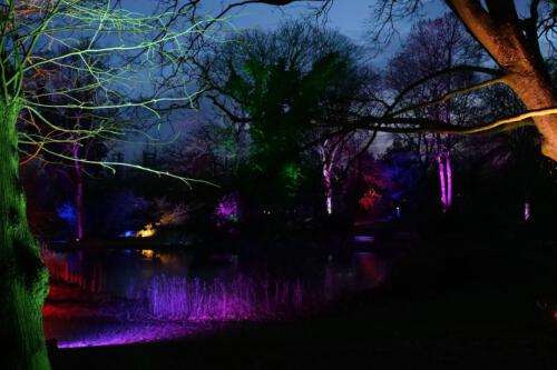 c-UWens Neues von F  H 20