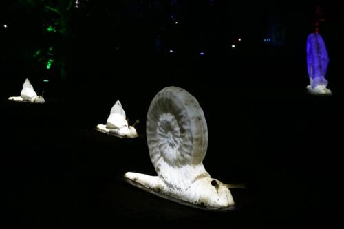 c-UWens Neues von F  H 28