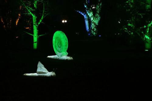 c-UWens Neues von F  H 29