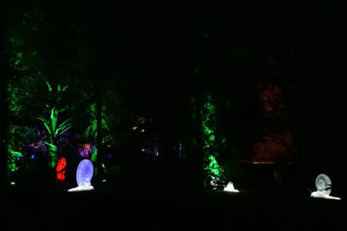 c-UWens Neues von F  H 31