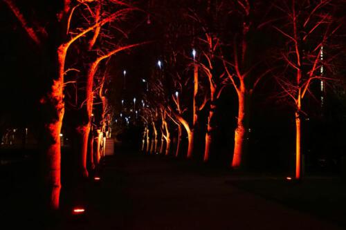 c-UWens Neues von F  H 38