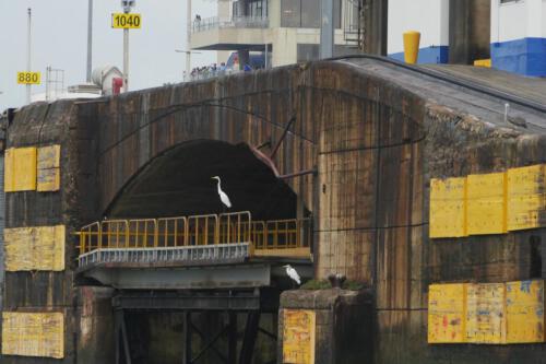 c-UWens Panamakanal 36