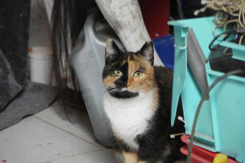 c-UWens Traumwerkstatt 31