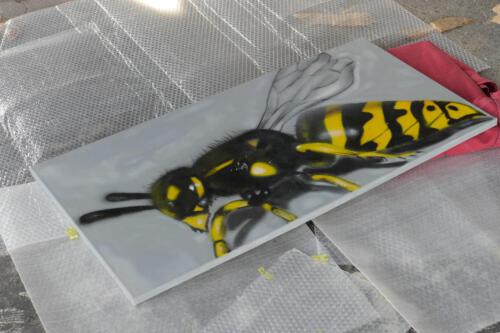 c-UWens Urban Heroes 18