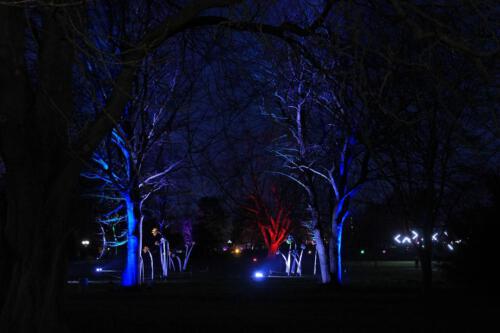 c-UWens Winterleuchten 0014