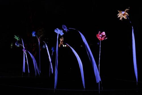 c-UWens Winterleuchten 0015