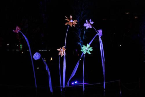 c-UWens Winterleuchten 0017