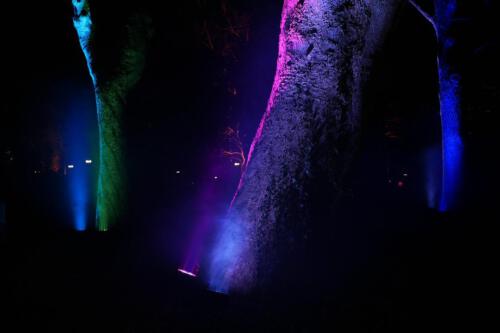 c-UWens Winterleuchten 0018