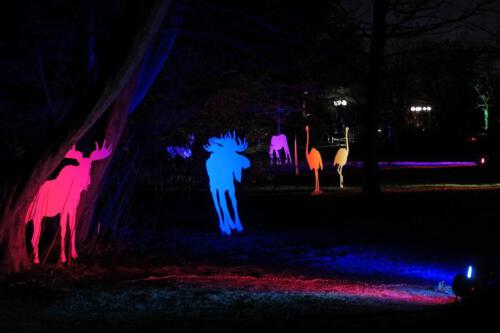 c-UWens Winterleuchten 0024