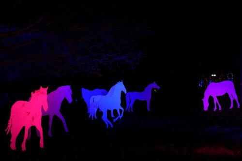 c-UWens Winterleuchten 0025