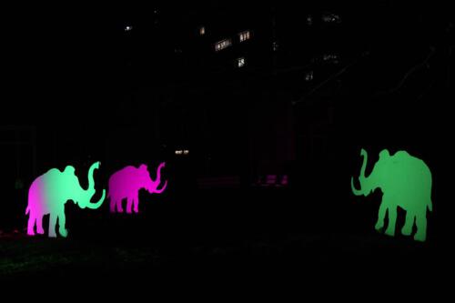 c-UWens Winterleuchten 0026