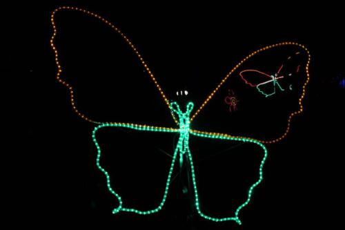 c-UWens Winterleuchten 0038