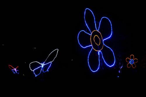 c-UWens Winterleuchten 0039