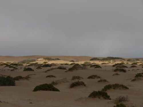 c-UWens Namib-WA¼ste 01