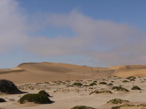 c-UWens Namib-WA¼ste 02