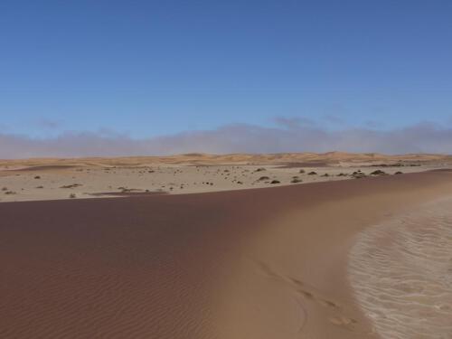 c-UWens Namib-WA¼ste 06